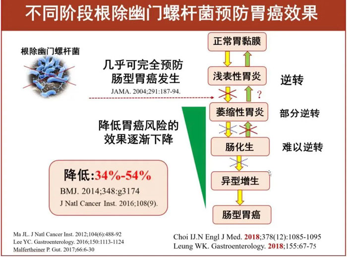 不同阶段根除幽门螺旋杆菌预防胃癌的效果