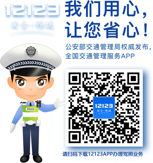 手机上下载交管12123APP