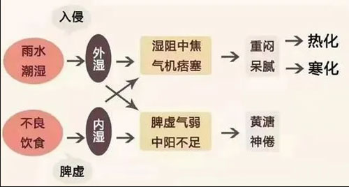 中医认为幽门螺杆菌是由脾虚生湿，湿邪内蕴，延及日久而成湿毒，由毒而生