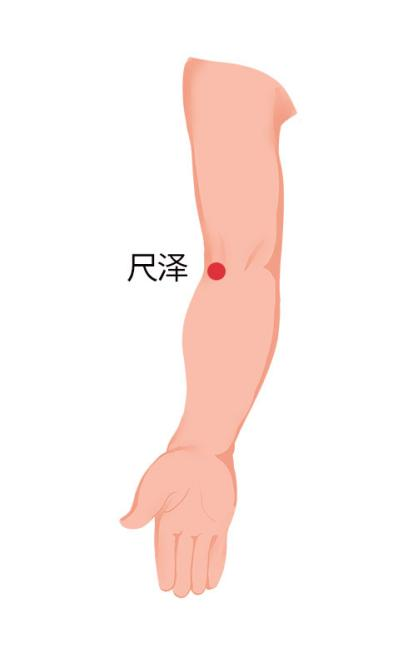 尺泽穴