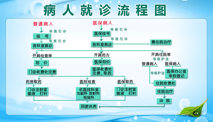 就诊指南与就诊流程