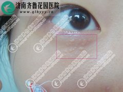 ��������������CO2����һ�����ƺ�Ч���ͺ�����